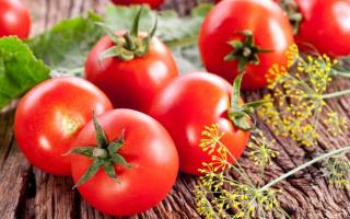 Помидоры: состав помидора свежего, польза, противопоказания