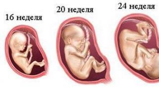 Четвертый месяц беременности: изменения в организме матери и плода Выделения на 4 месяце беременности