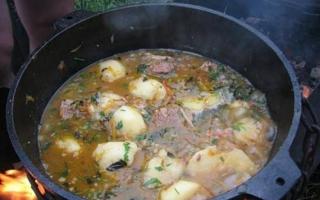 Шурпа из утки: узбекское национальное блюдо Рецепт приготовления шурпы из утки